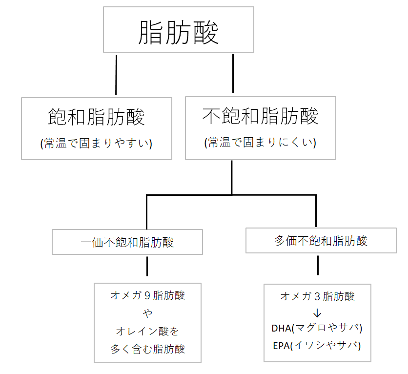 脂肪酸